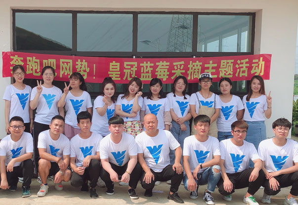 【奔跑吧網(wǎng)勢！】藍(lán)莓采摘主題團(tuán)建活動